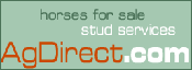 With its powerful search engine and millions of page views per month, AgDirect is the best place to buy and sell horses.  Search horses for sale and stallions at stud classified ads by horse breed, pedigree, traits, price, location and more.
