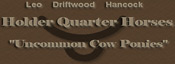 Holder Quarter Horses ~ Uncommon Cow Ponies for sale in Texas.  We have blue roans, duns, buckskins, grullos with bloodlines of Joe Hancock, Blue Valentine, Driftwood and Leo